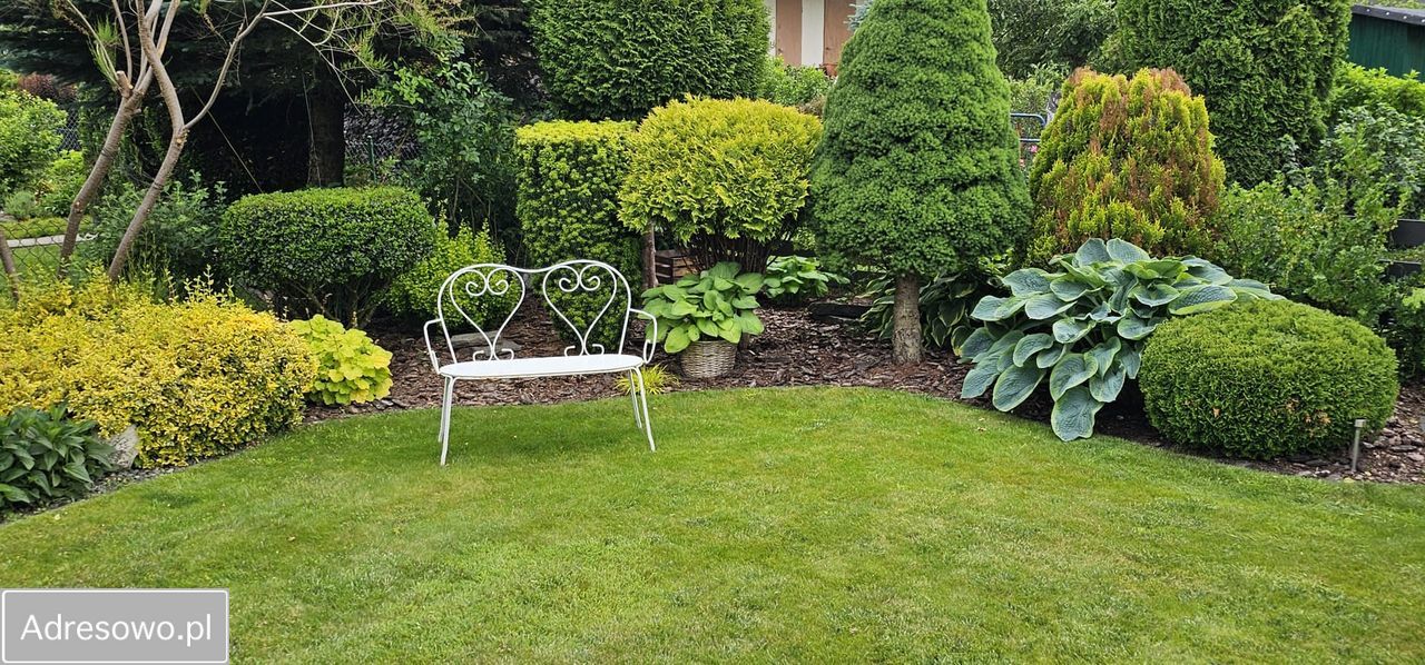 Działka rod Bełchatów, ul. Czapliniecka. Zdjęcie 2