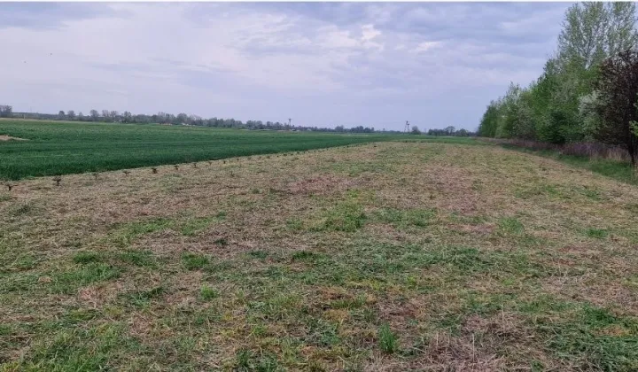 Działka budowlana Chałupki Dębniańskie