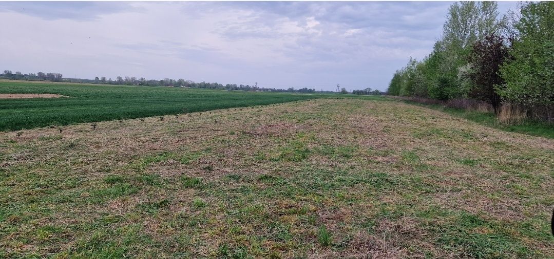 Działka budowlana Chałupki Dębniańskie. Zdjęcie 1