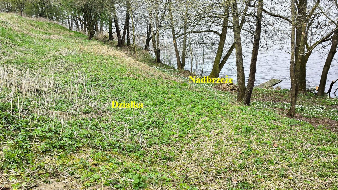 Działka rolno-budowlana Rudzienice. Zdjęcie 11