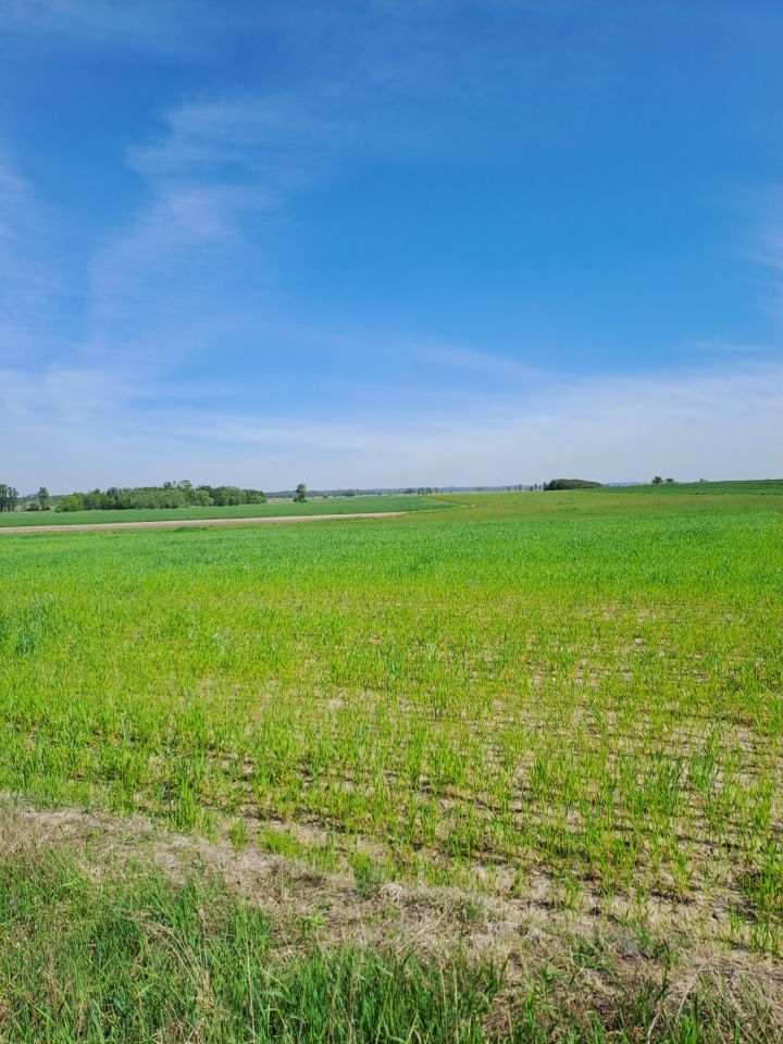 Działka budowlana Strożyska Przymiarki. Zdjęcie 10