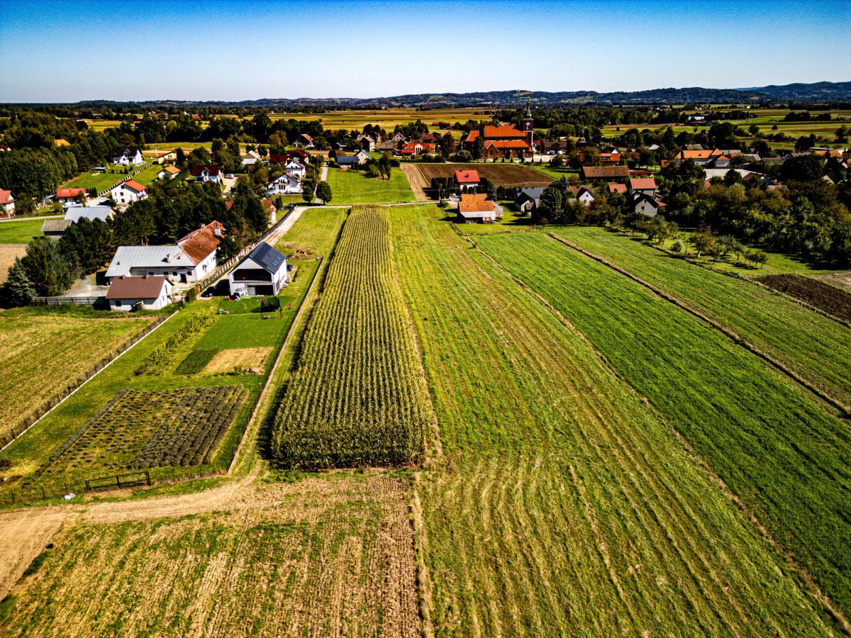 Działka budowlana Niegowić. Zdjęcie 7
