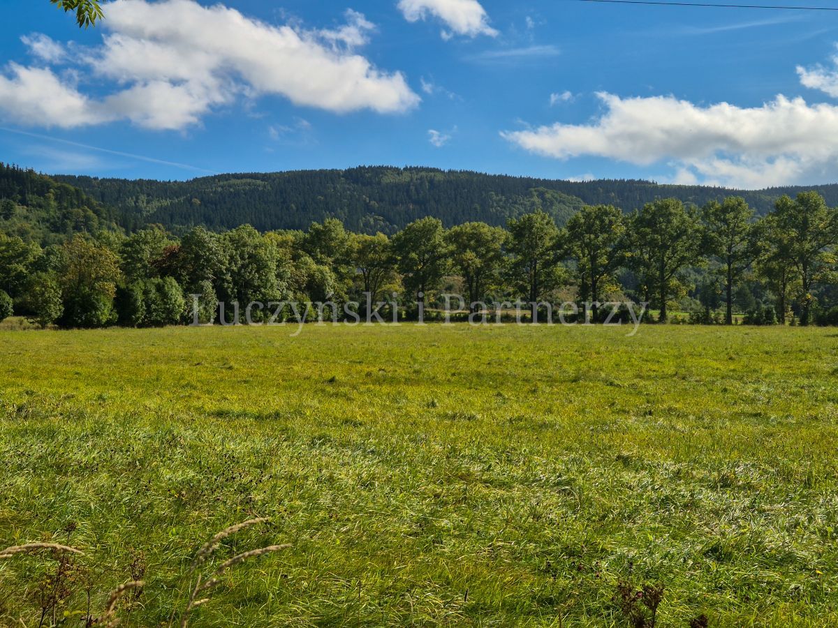 Działka inwestycyjna Kowary. Zdjęcie 13