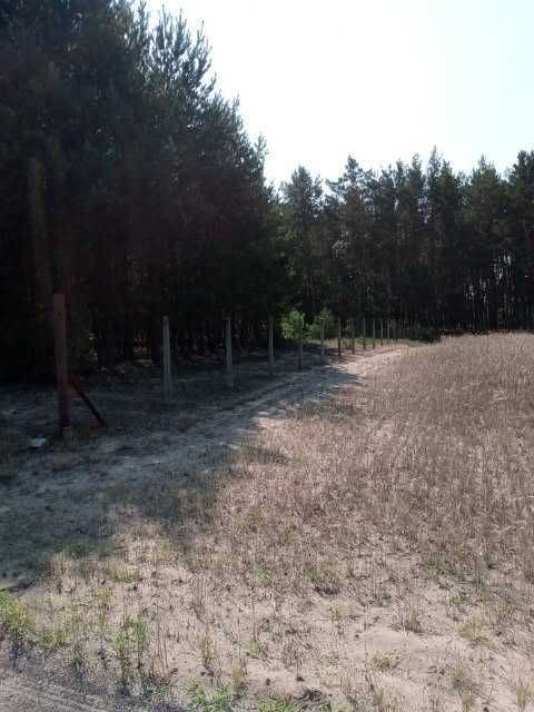 Działka rekreacyjna Sobieńki. Zdjęcie 6
