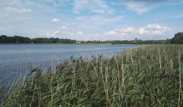 Działka rolno-budowlana Rumunki Skępskie