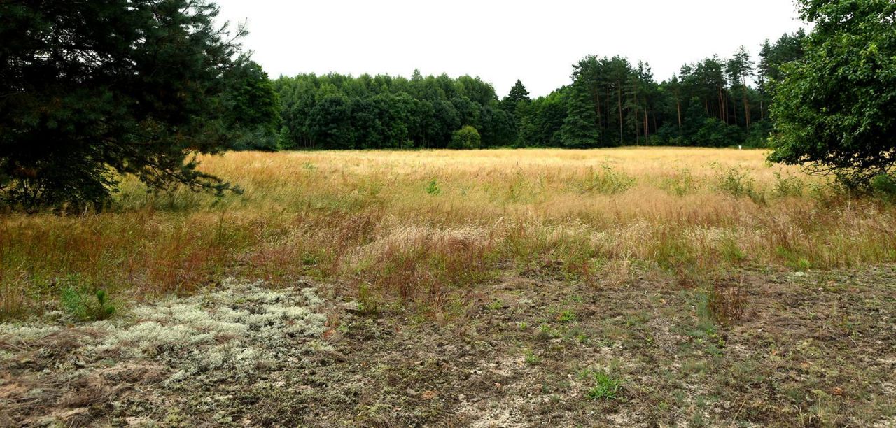 Działka budowlana Turna Duża. Zdjęcie 16