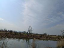 Działka rolna Łomna, ul. Wierzbowa. Zdjęcie 1