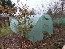 Działka rod Międzychód. Zdjęcie 1