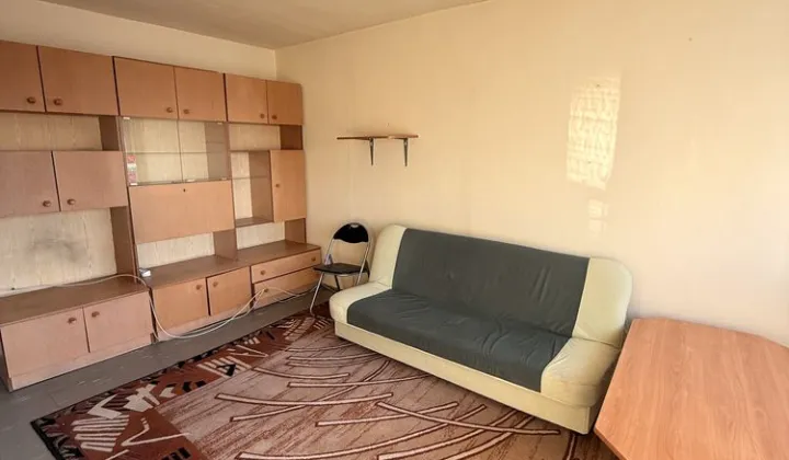 Mieszkanie 1-pokojowe Łódź Teofilów, ul. Rojna