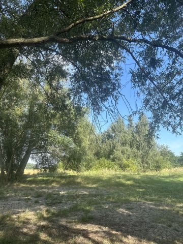 Działka rekreacyjna Pęczniew. Zdjęcie 1