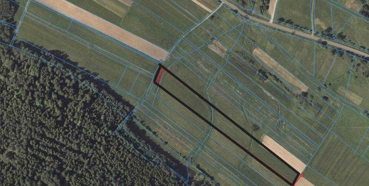 Działka budowlana Berezka. Zdjęcie 2