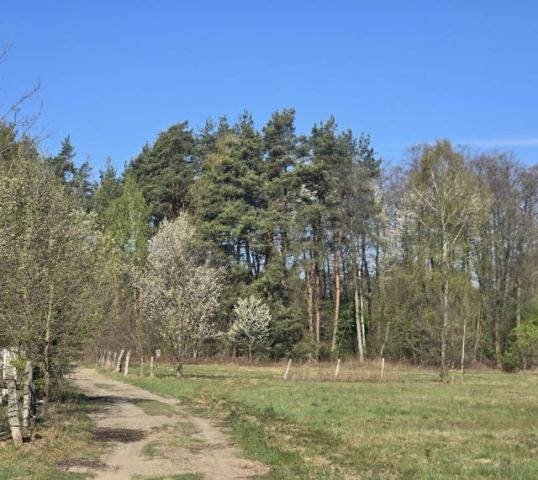 Działka budowlana Wołomin Mironowe Górki. Zdjęcie 7