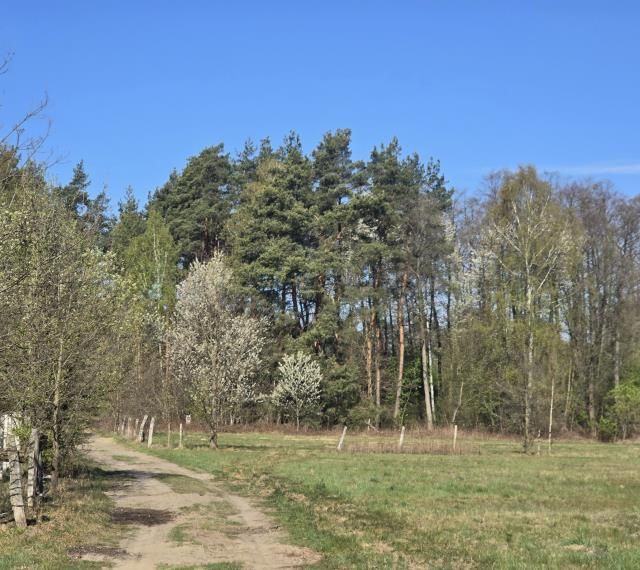 Działka budowlana Wołomin Mironowe Górki. Zdjęcie 7