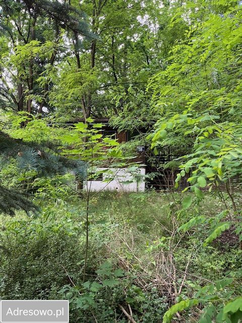 Działka rekreacyjna Popowo-Parcele, ul. Brzozowa. Zdjęcie 4