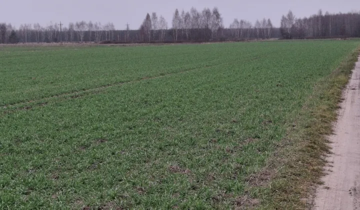 Działka budowlana Wrzeczko Borowiny