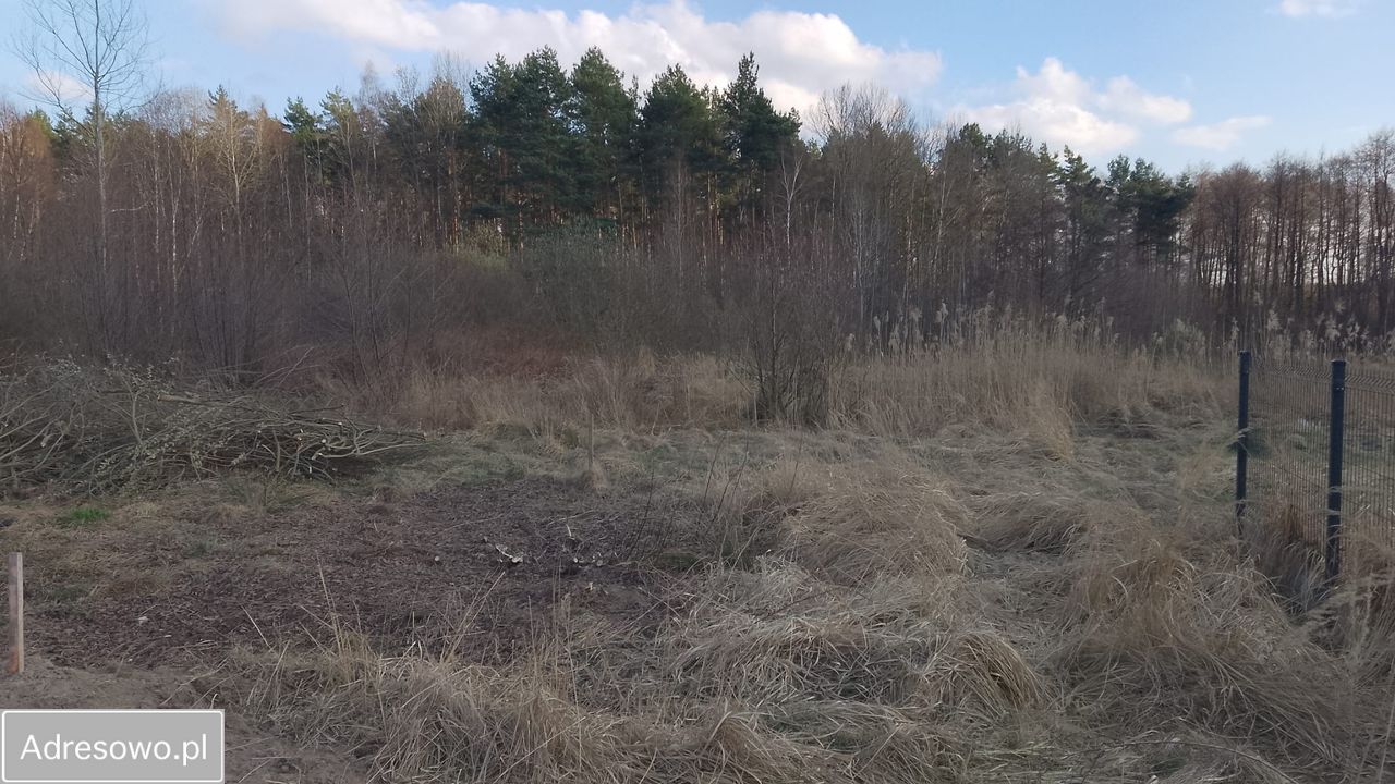 Działka budowlana Zielona Góra Ochla. Zdjęcie 4