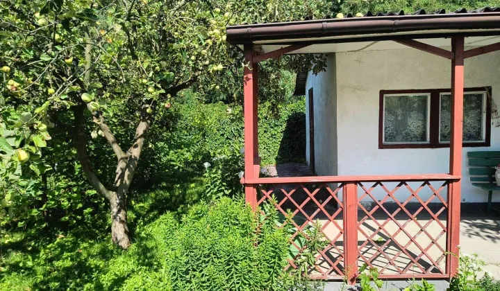 Działka rod Konin, ul. Kleczewska