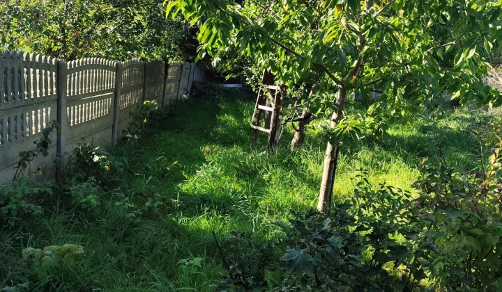 Działka budowlana Kalisz, Wolica