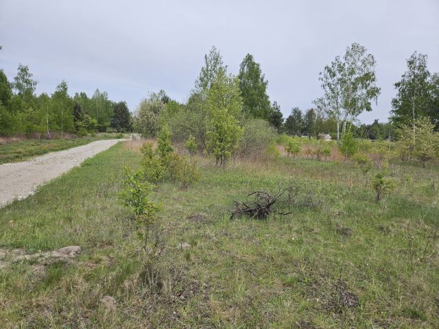 Działka budowlana Kąck. Zdjęcie 6