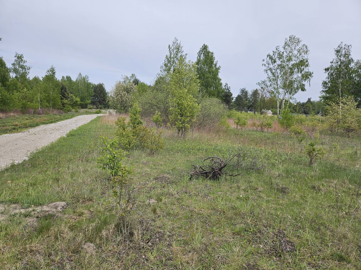 Działka budowlana Kąck. Zdjęcie 6