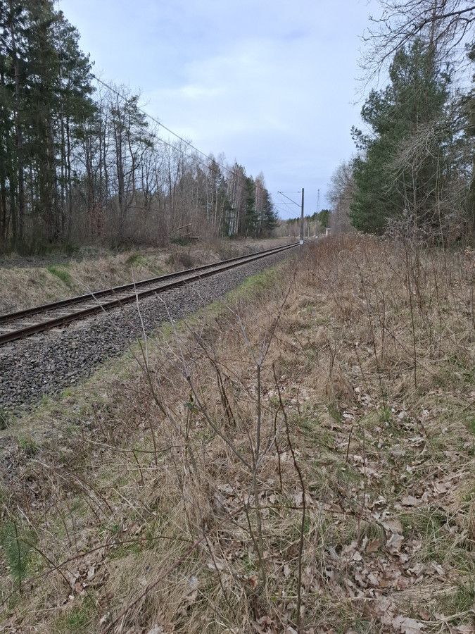 Działka inwestycyjna Charnowo. Zdjęcie 2