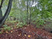 Działka budowlana Olsztyn. Zdjęcie 1