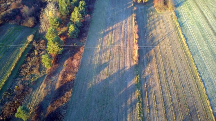 siedlisko Krzywie. Zdjęcie 9