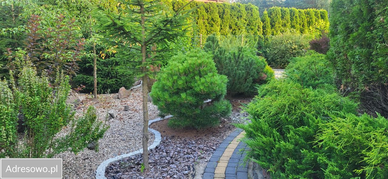 dom wolnostojący, 5 pokoi Pisz, ul. Smocza. Zdjęcie 15