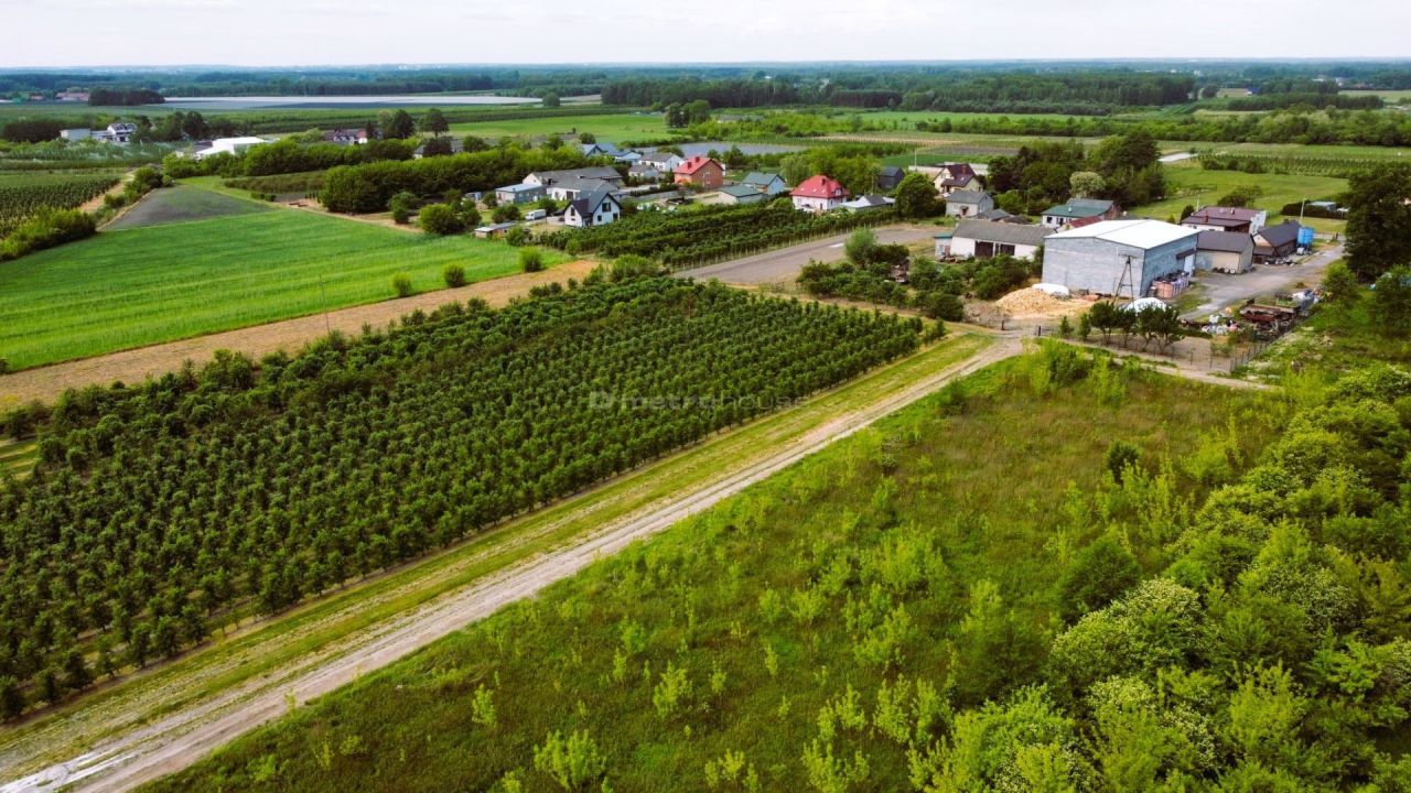 Działka budowlana Barcice Drwalewskie. Zdjęcie 4