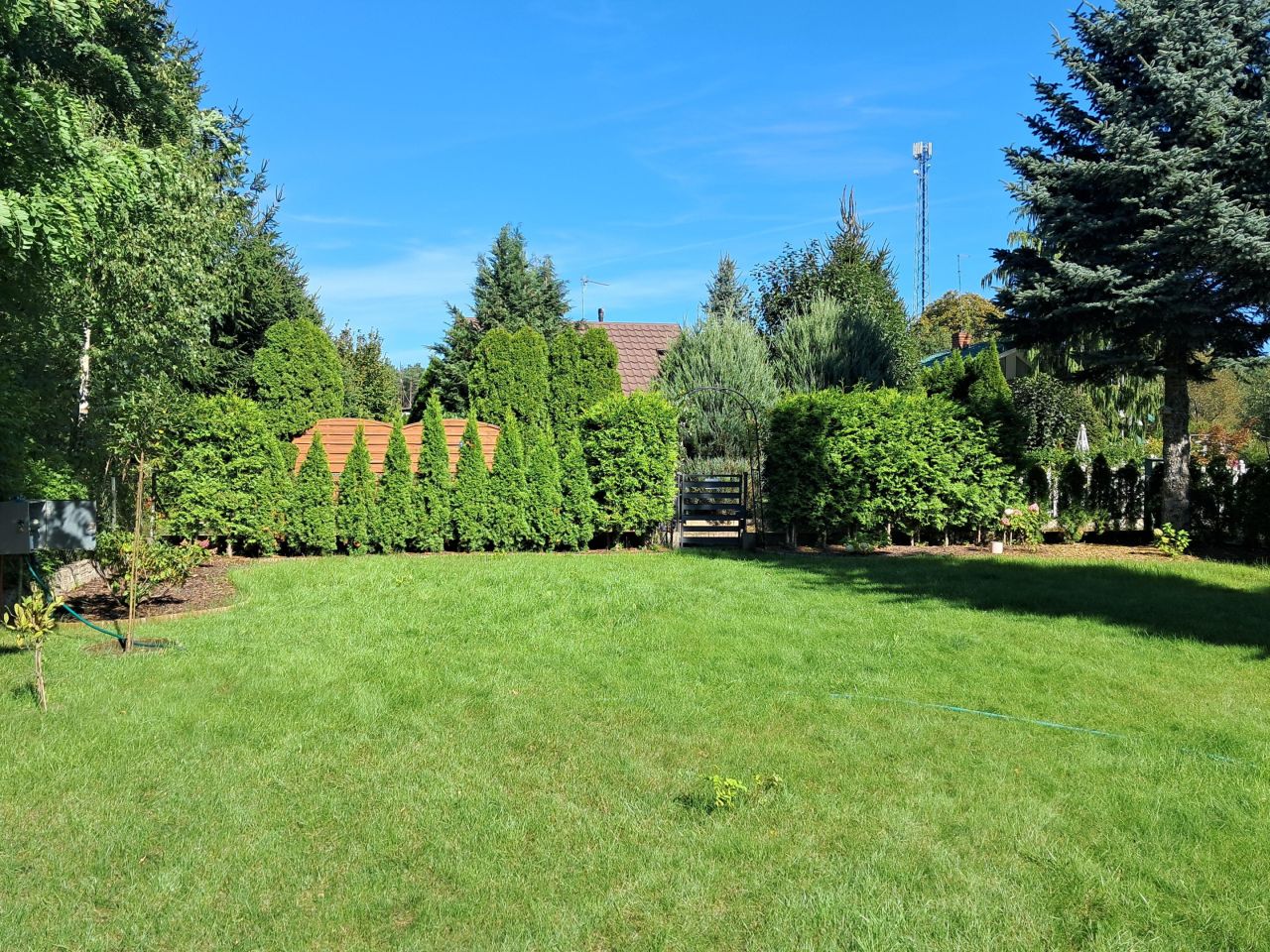 Działka rekreacyjna Żurczyn. Zdjęcie 15