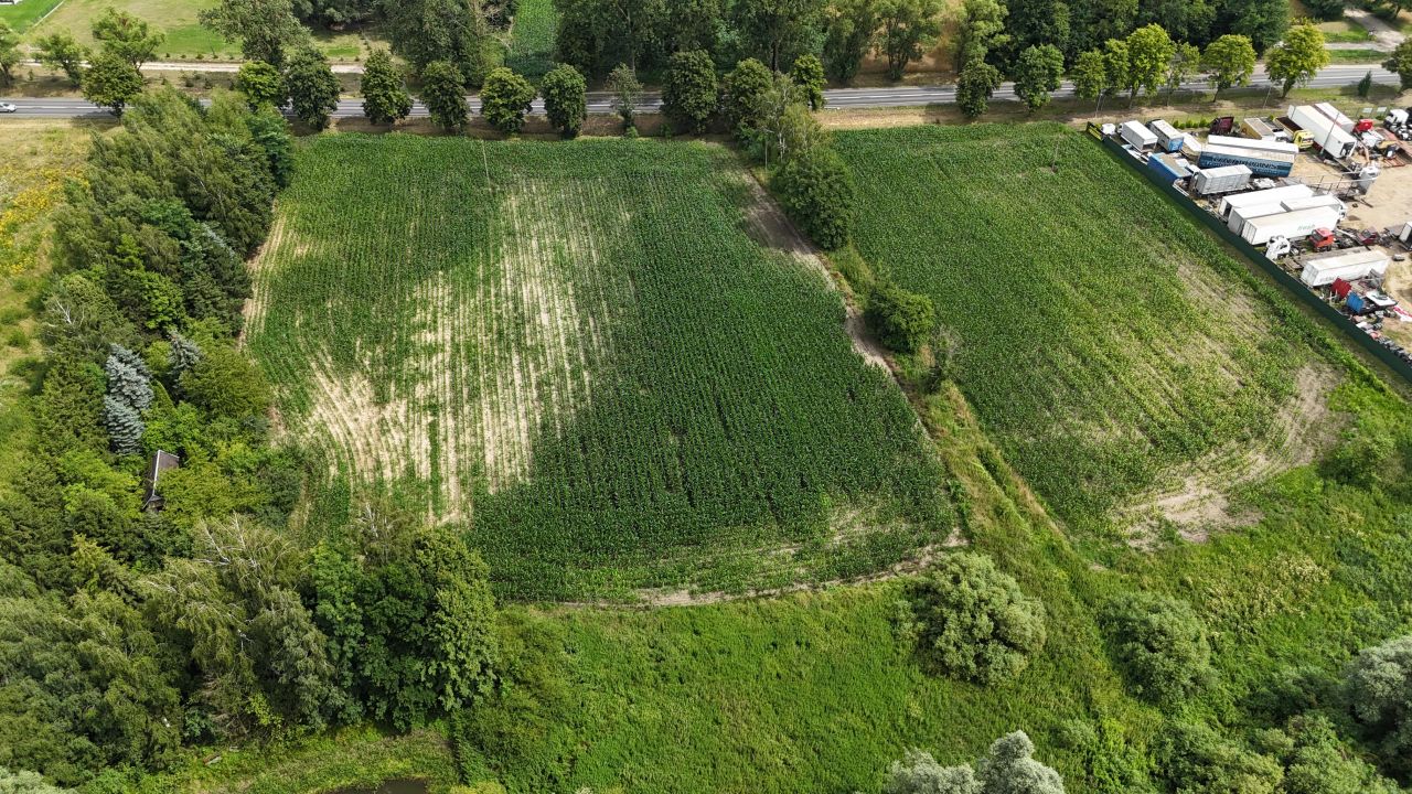 Działka rolna Obórki. Zdjęcie 22