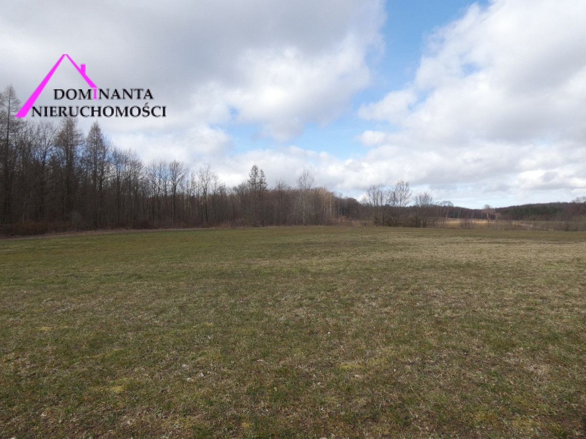 Działka budowlana Zdrada, ul. Leśna. Zdjęcie 16