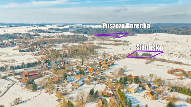 Działka rolna Orłowo. Zdjęcie 6