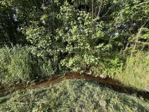 Działka budowlana Pomianowo. Zdjęcie 2