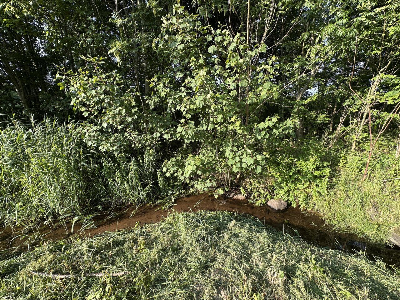 Działka budowlana Pomianowo. Zdjęcie 3