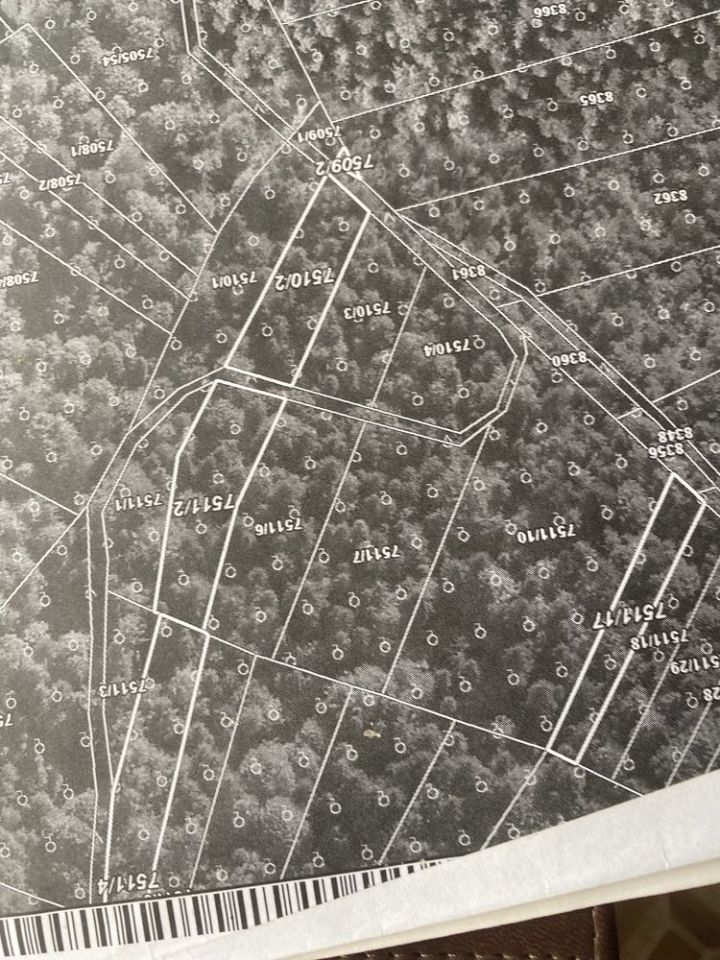 Działka leśna Grzechynia. Zdjęcie 2