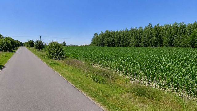 Działka inwestycyjna Jagodne. Zdjęcie 1