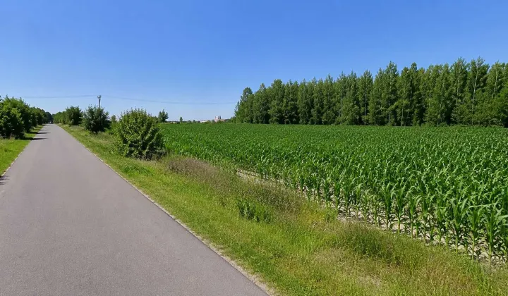Działka inwestycyjna Jagodne