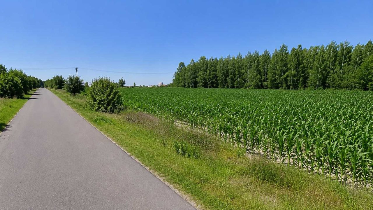 Działka inwestycyjna Jagodne. Zdjęcie 1