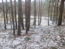 Działka Grabowiec. Zdjęcie 2