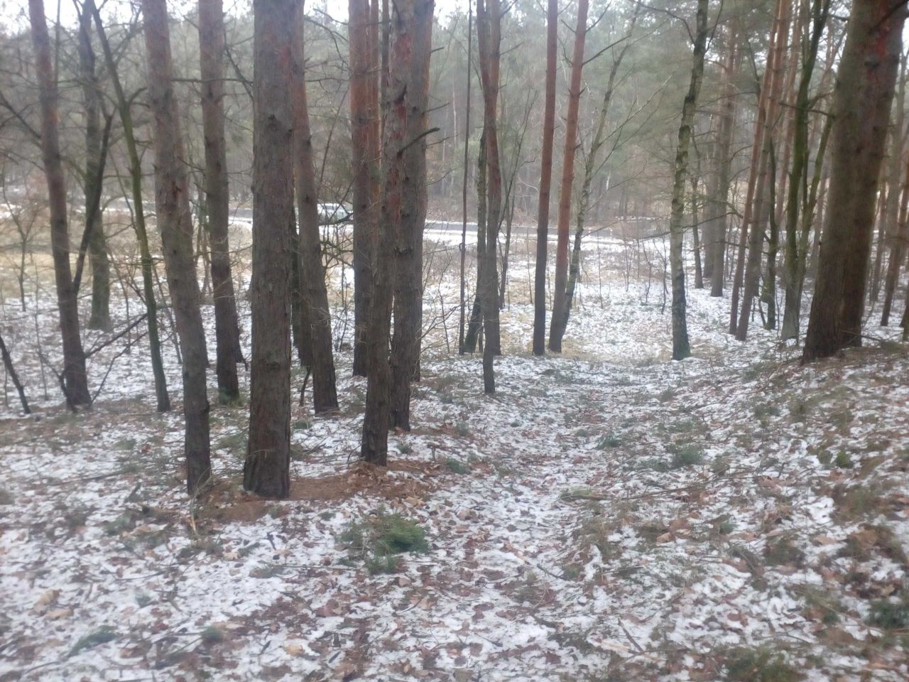 Działka Grabowiec. Zdjęcie 3