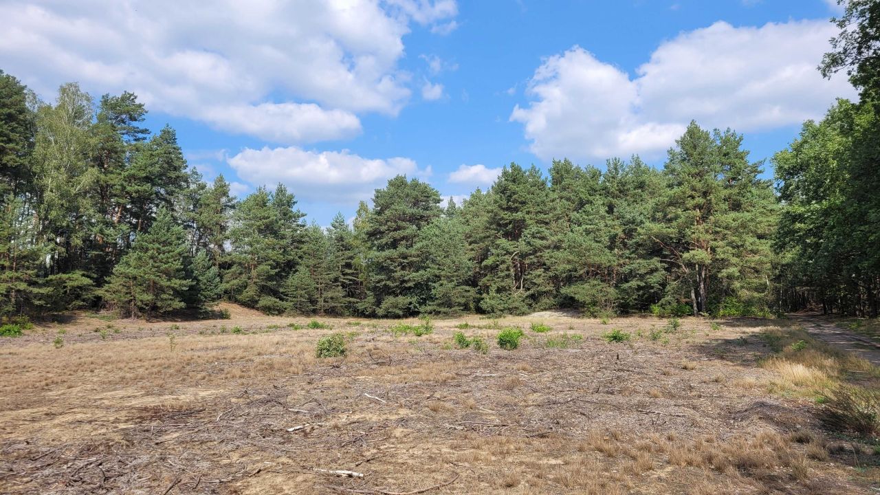 Działka rolno-budowlana Sadykierz