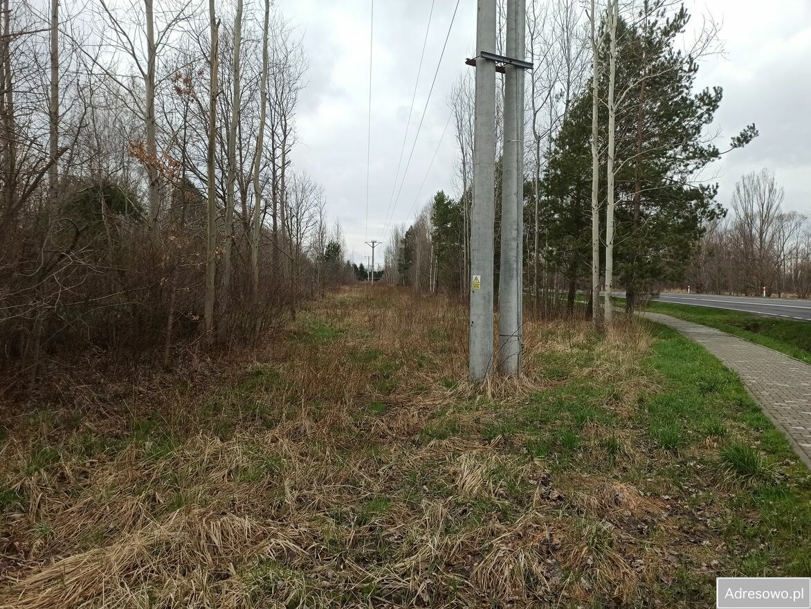 Działka rolna Płaczków. Zdjęcie 4