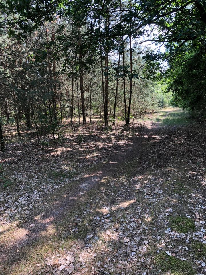 Działka inwestycyjna Nieporęt, ul. Stokrotki. Zdjęcie 11