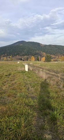 Działka budowlana Wierzbanowa. Zdjęcie 1