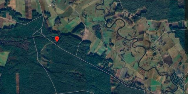 dom wolnostojący, 4 pokoje Dobry Las. Zdjęcie 10