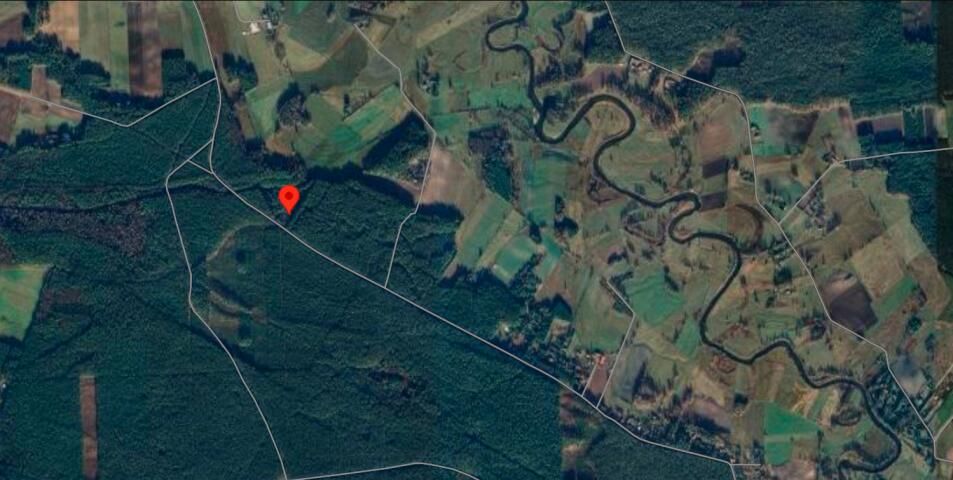 dom wolnostojący, 4 pokoje Dobry Las. Zdjęcie 10