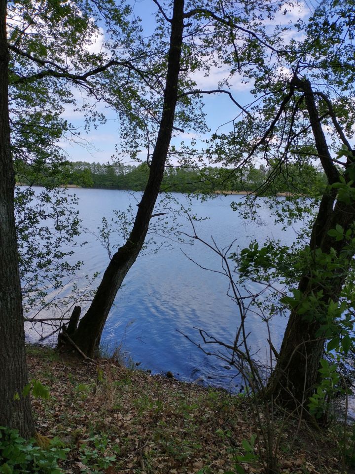 Działka rekreacyjna Jeleń. Zdjęcie 4