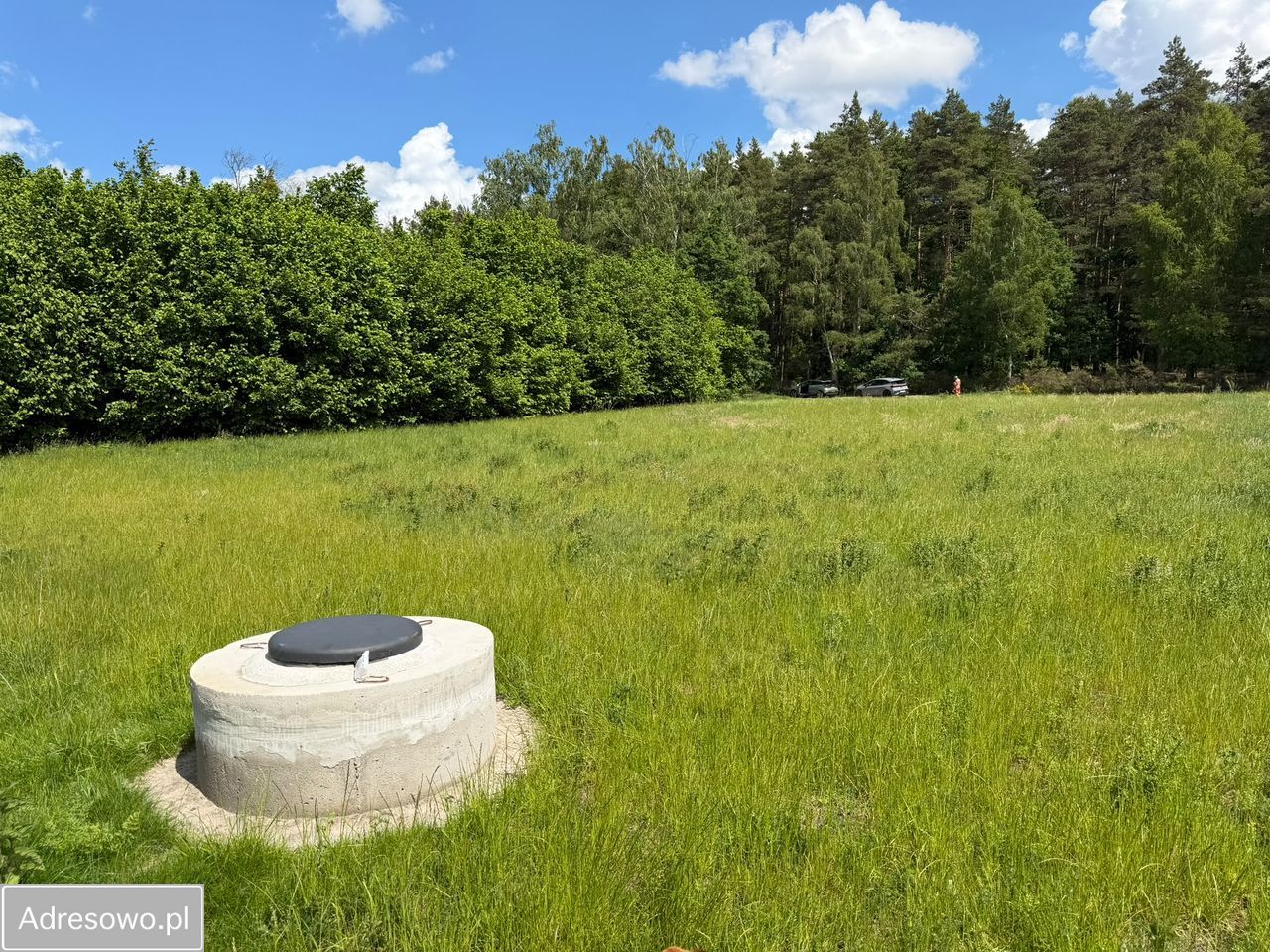 Działka inwestycyjna Dębogórze, ul. Lisia. Zdjęcie 19