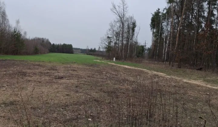 Działka budowlana Szadki